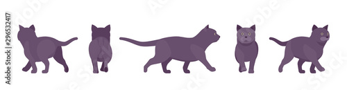 Black Cat walking. Active healthy kitten with dark, gray colored fur, cute funny pet, mystic bad luck omen. Vector flat style cartoon illustration isolated on white background, different views