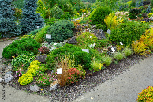 Well-groomed decorative corner of the garden