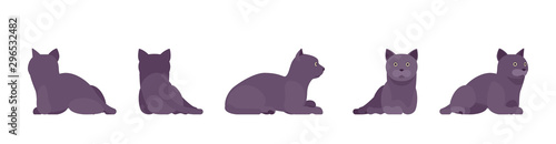 Black Cat lying resting. Active healthy kitten with dark, gray colored fur, cute funny pet, mystic bad luck omen. Vector flat style cartoon illustration isolated on white background, different views