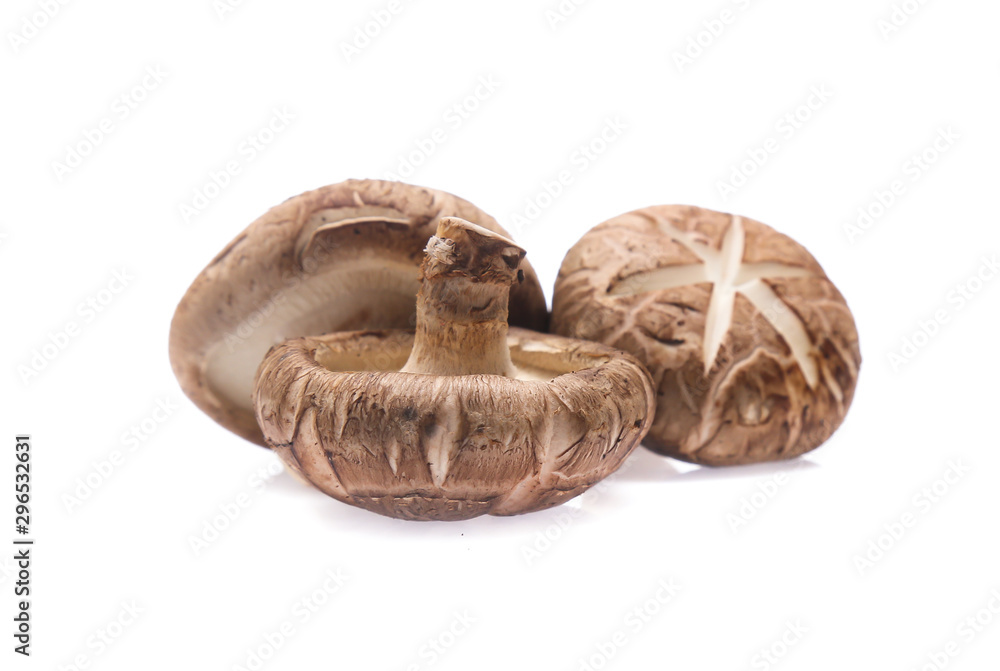 Shiitake mushroom on the White background