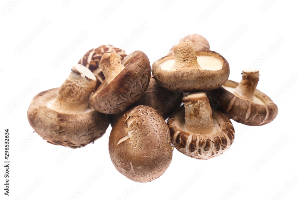 Shiitake mushroom on the White background Shiitake mushroom on the White background