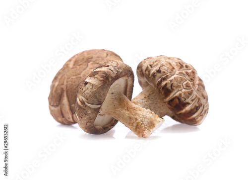 Shiitake mushroom on the White background