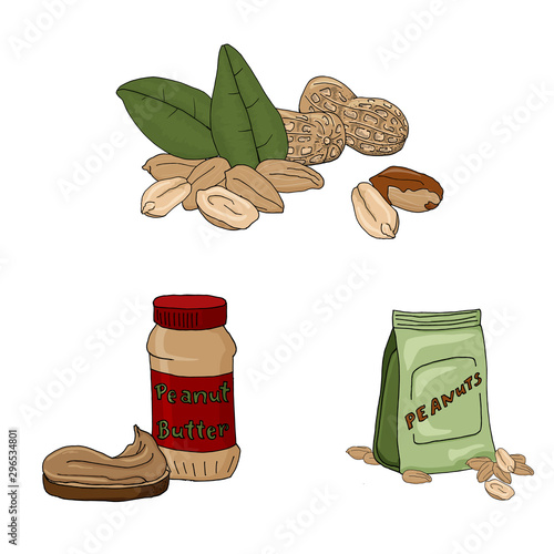 Vector illustration set of peanuts on white background.