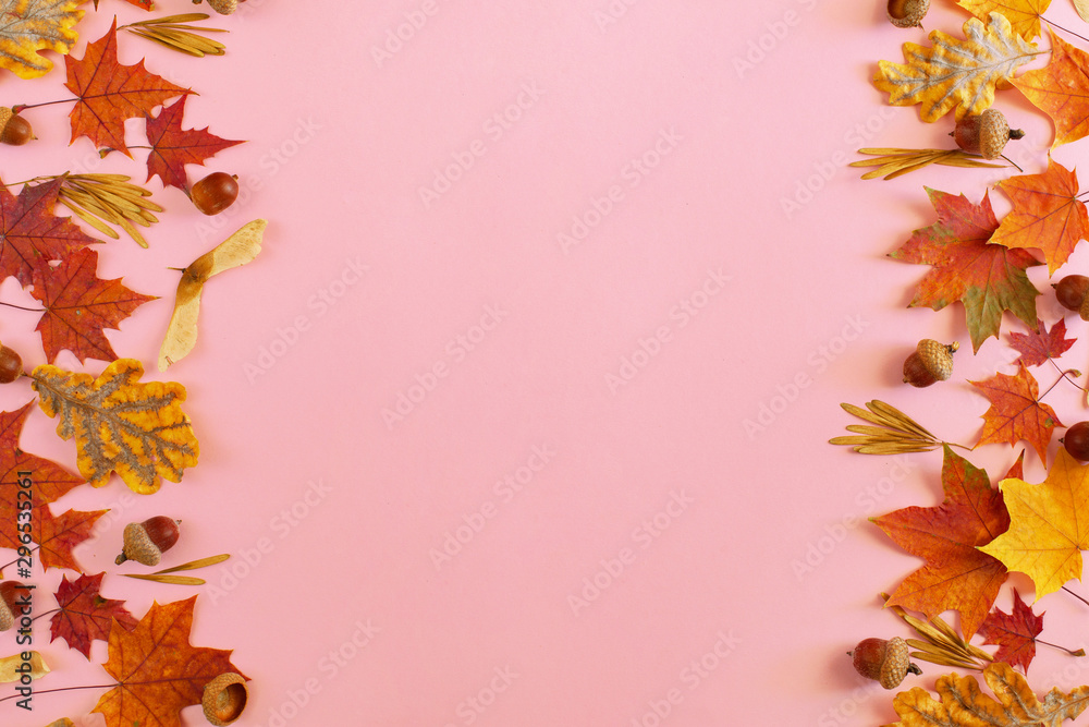 Autumn botanical background. Frame of colored maple and oak leaves and acorns on a pink background. Design for autumn card or invitation. Copy space, flat lay Autumn botanical background. Frame of colored maple and oak leaves and acorns on a pink background. Design for autumn card or invitation. Copy space, flat lay