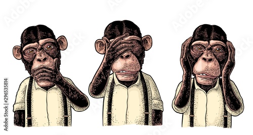 Three wise monkeys. Not see, not hear, not speak. Vintage engraving