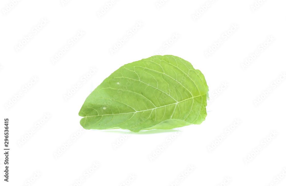Spinach leaves close up isolated on white Spinach leaves close up isolated on white