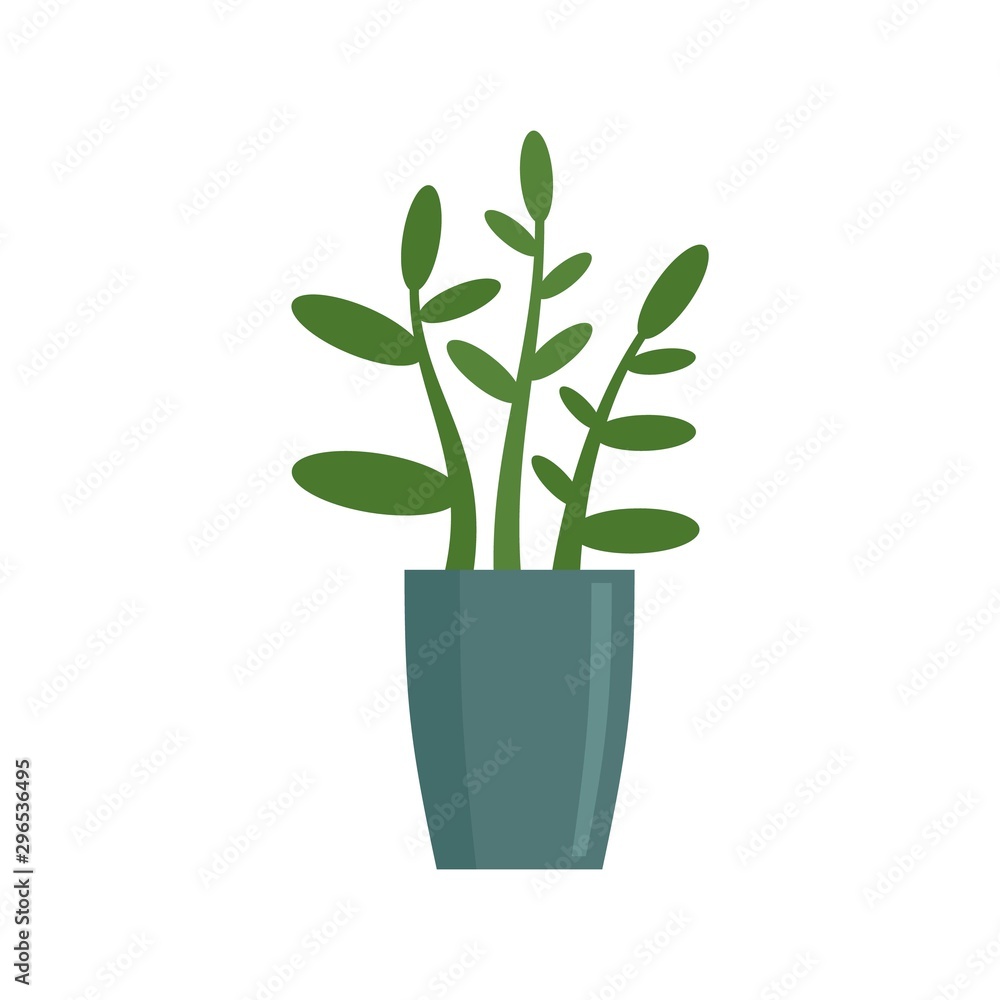 Gardenia plant icon. Flat illustration of gardenia plant vector icon for web design Gardenia plant icon. Flat illustration of gardenia plant vector icon for web design