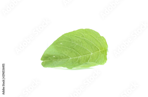 Spinach leaves close up isolated on white