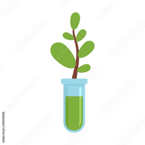 Gmo plant tube icon. Flat illustration of gmo plant tube vector icon for web design