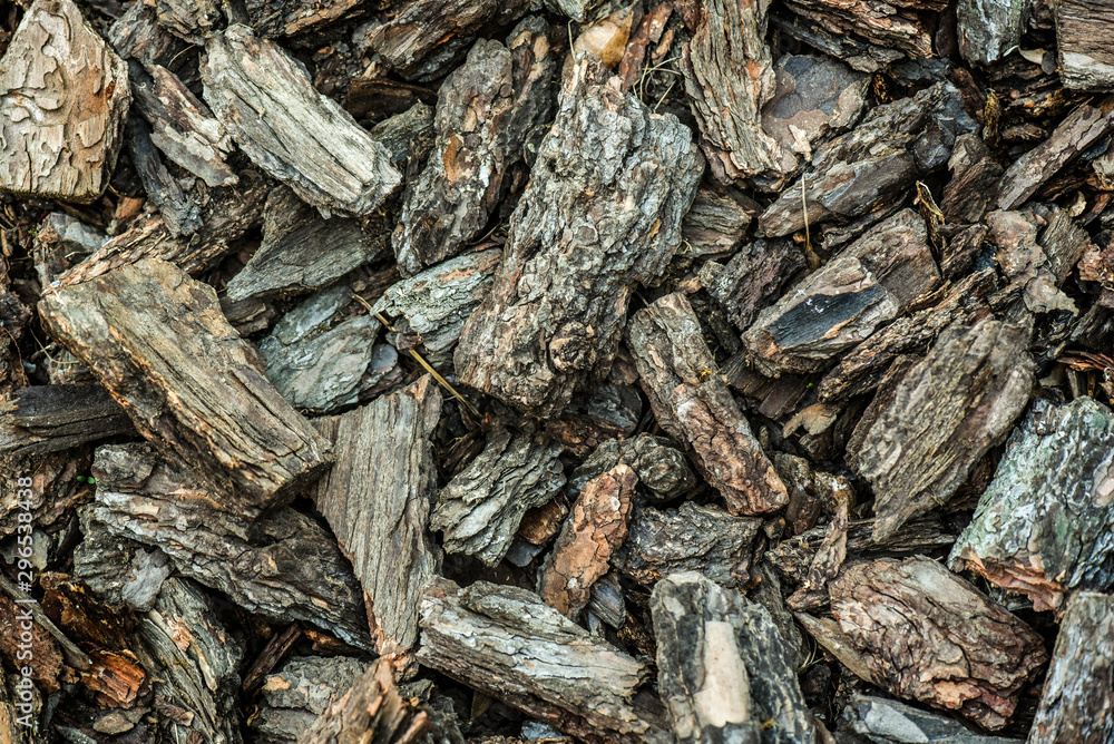 Mulch bark top view. Fresh wood chip from pine trees or texture background. Mulch bark top view. Fresh wood chip from pine trees or texture background.