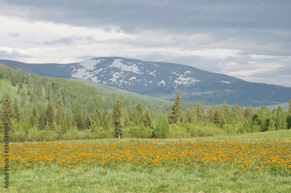 Altay mountain