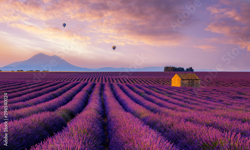 Lavender Dream - Valensole France photo