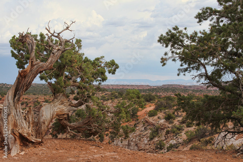 Scenic view of Canyonlands National Park in Utah.