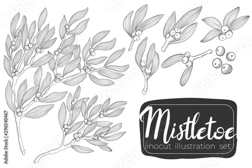 Mistletoe twig hand draw linocut vector illustration Christmas collection. Ilex branch art X-mas set in outline styles.  Holly berry collection in line art style