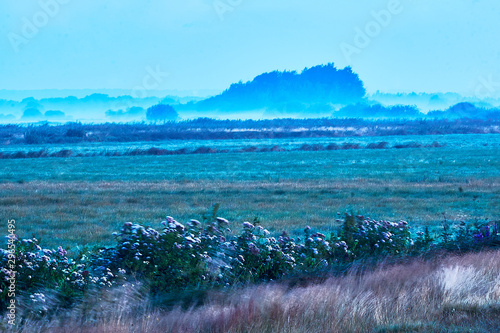 Foggy field in the Teufelsmoor photo