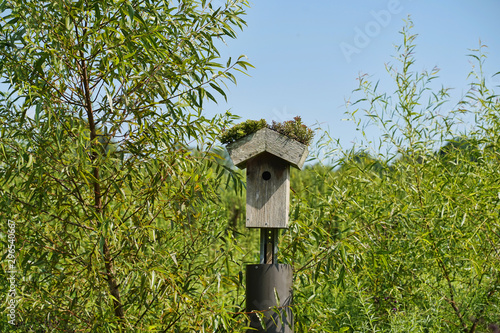 Wooden birdhouse with moss growing on the roof.