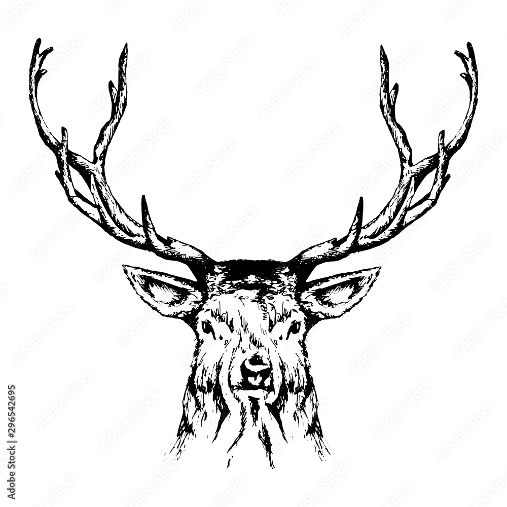 16400 Deer Head Illustrations RoyaltyFree Vector Graphics  Clip Art   iStock  Deer head silhouette Deer head vector Mounted deer head