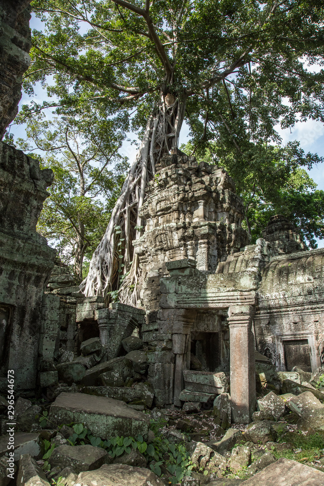 One of the temples with a beautiful hugging tree in Angkor Wat. Cambodia