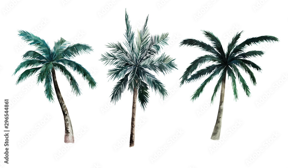 Obraz premium Watercolor set of palm trees on white background. Hand drawn summer illustration. Isolated image