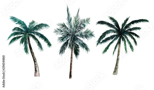 Watercolor set of palm trees on white background. Hand drawn summer illustration. Isolated image