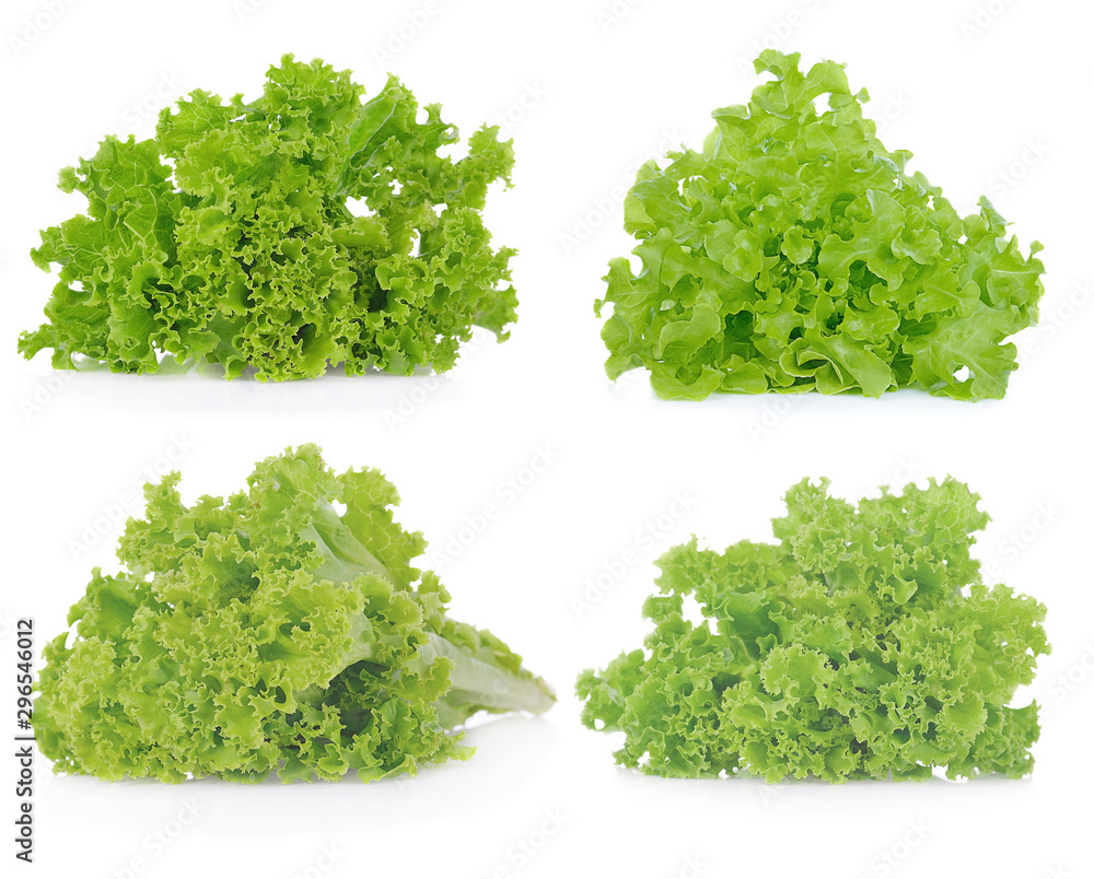 Fresh lettuce leaves isolated on white background. Fresh lettuce leaves isolated on white background.