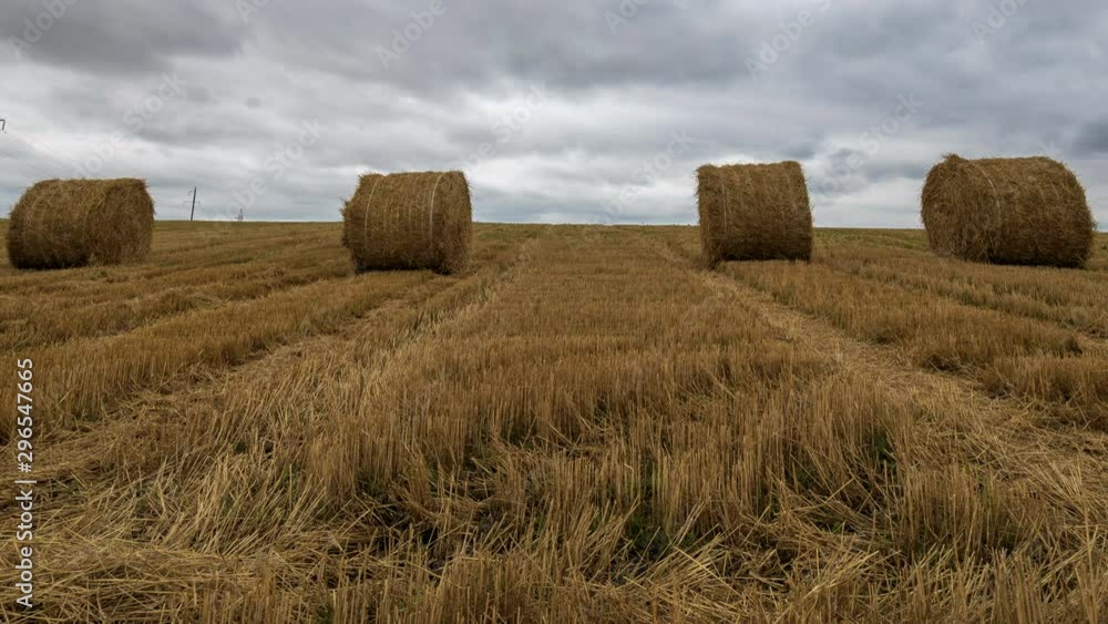 Yellow haystacks in the field wheat and cloudy sky. Beautiful scenic dynamic landscape agricultural land, 4K time lapse. Beauty nature, agriculture, harvest. Yellow haystacks in the field wheat and cloudy sky. Beautiful scenic dynamic landscape agricultural land, 4K time lapse. Beauty nature, agriculture, harvest.