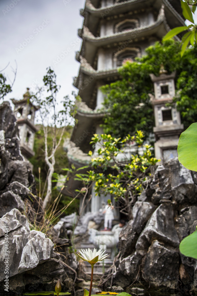 Da Nang, Vietnam »; August 2017: Yellow flowers in the Marbel Mountains pagoda of Da Nang