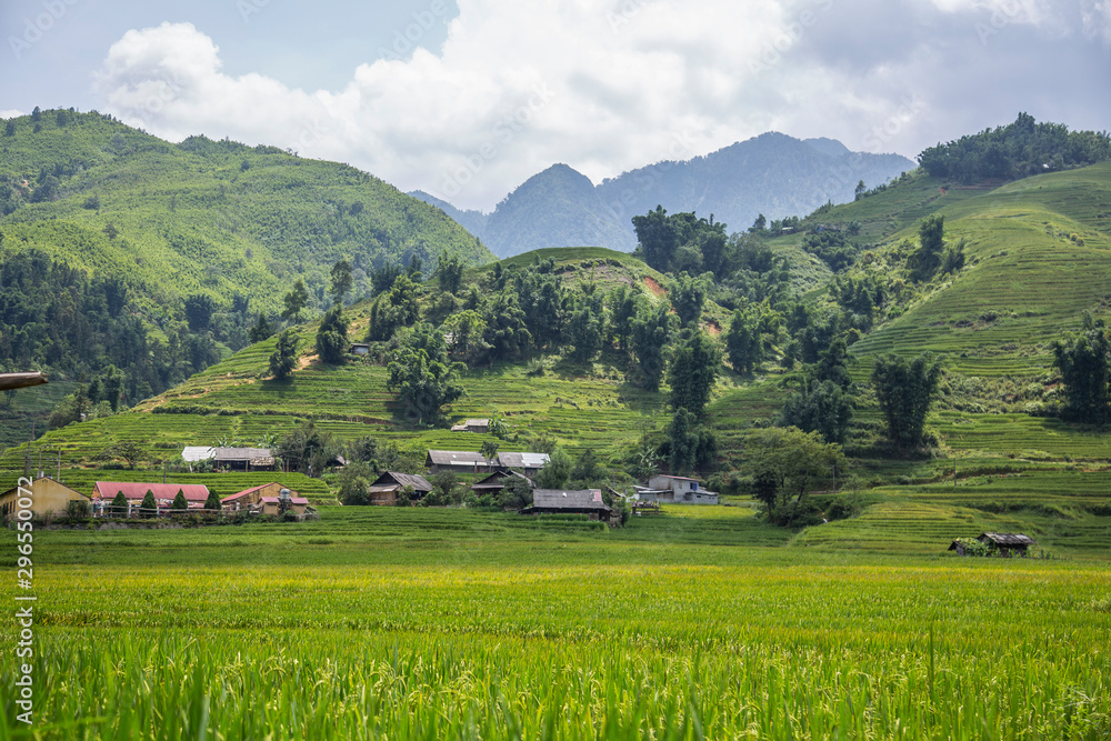 The beautiful mountains of Sapa and its rice paddies. Vietnam