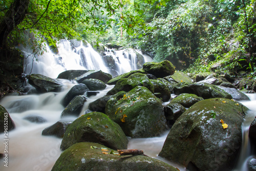 waterfall in forest