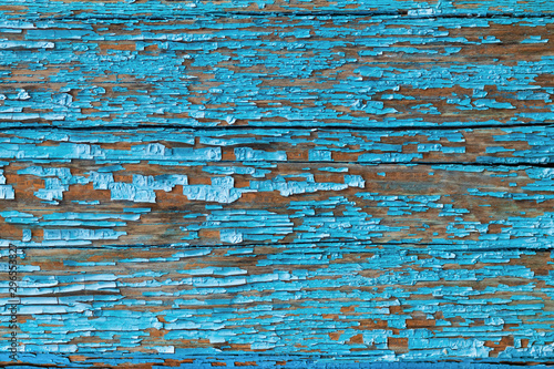 Texture of an old dry board with cracked faded blue paint, background.