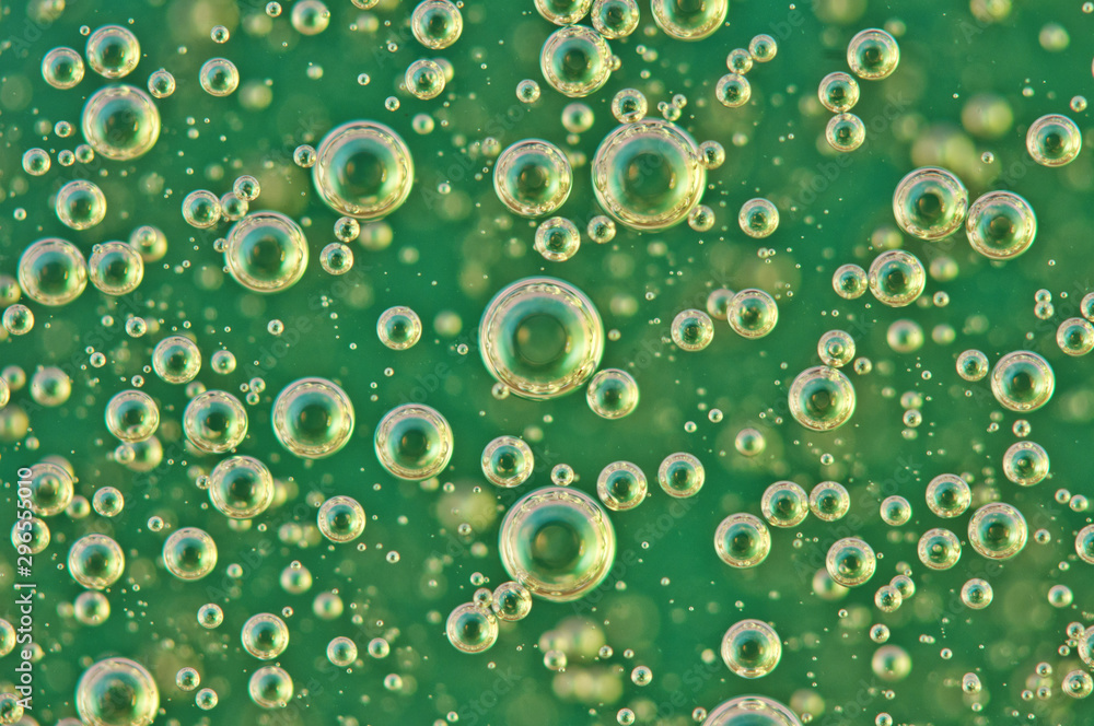Small and Large Oxygen Bubbles in Green Liquid
