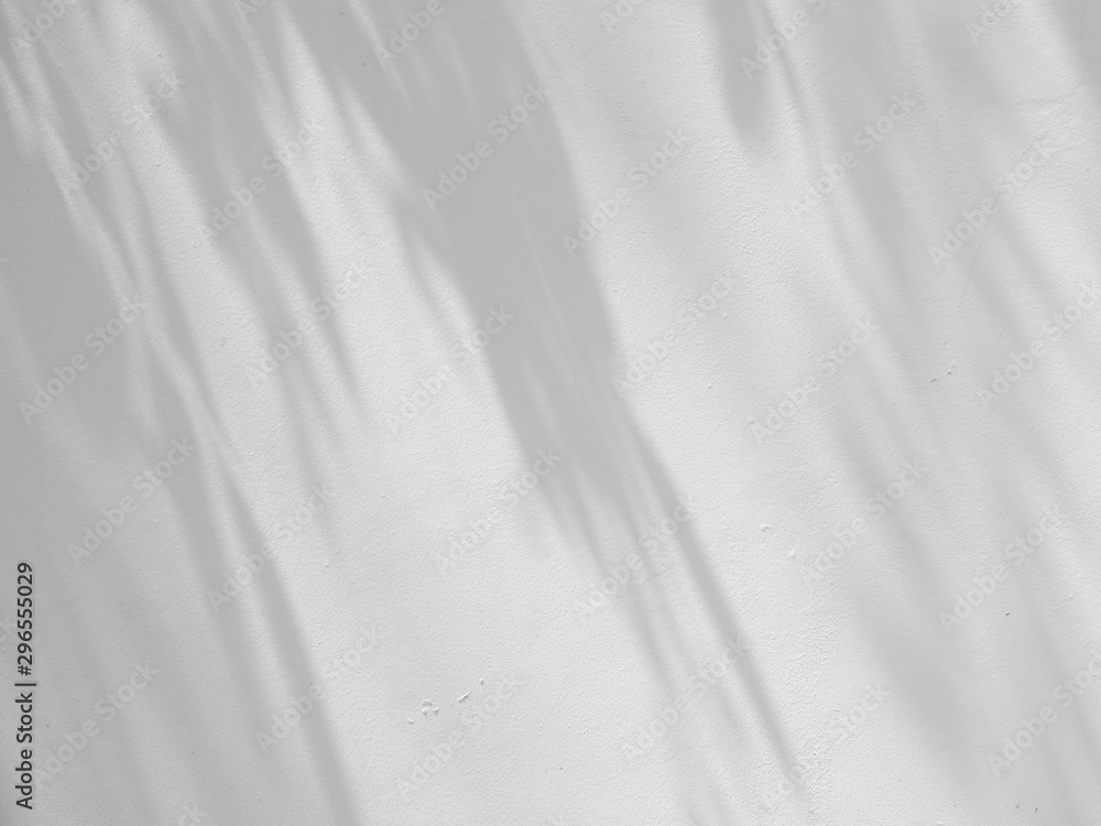 Obraz premium abstract shadow of the leaves on a white wall background