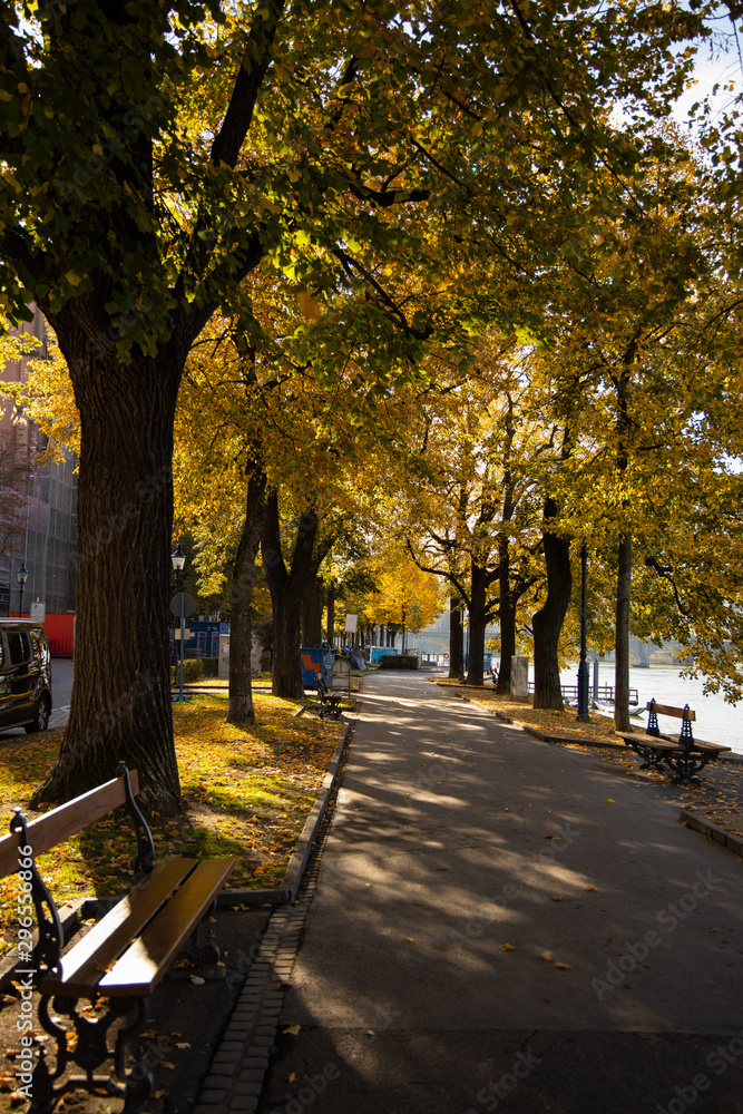 Naklejka premium autumn in the park