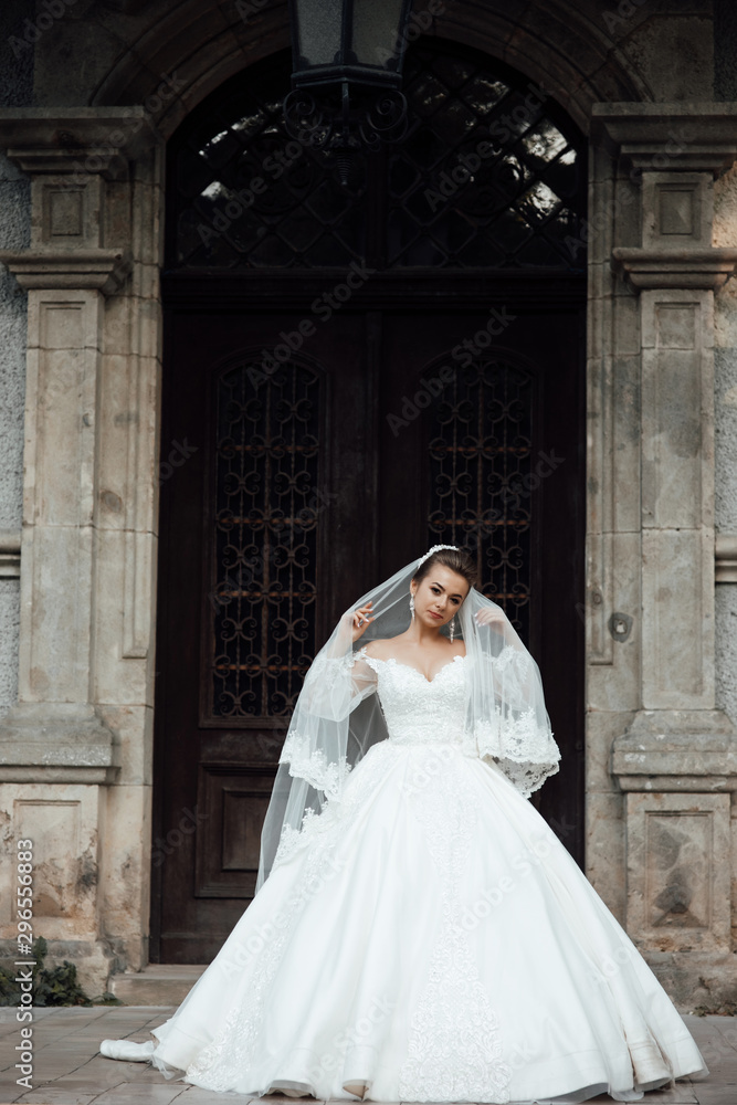 Obraz premium Attractive young bride in white dress with wedding make up and hair style on the background of the big door. Fashion, beauty, style. Wedding photography.