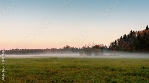 Rural landscape at dusk with fog