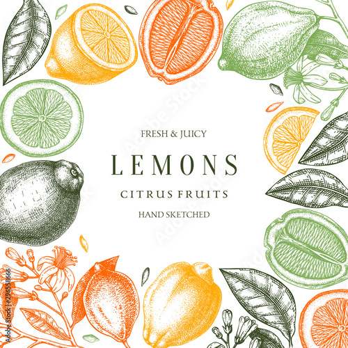 Ink hand drawn citrus fruits frame design. Vector lemons background with citrus fruits, flowers, seeds, leaves, branches sketches. Perfect for banners, greeting cards, invitations, prints.