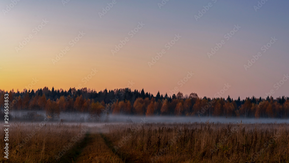 Rural landscape at dusk with fog