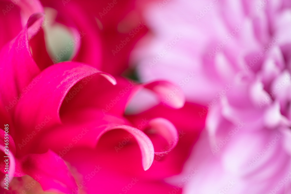 Colorful Flower leaves in bouqet of flowers Colorful Flower leaves in bouqet of flowers