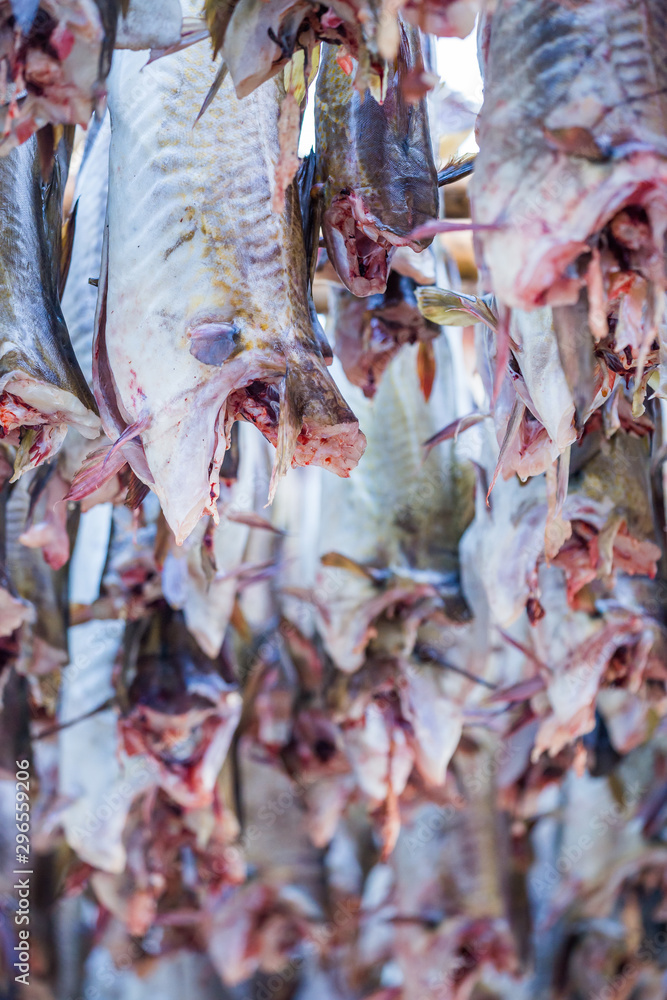 Stockfish on Lofoten islands