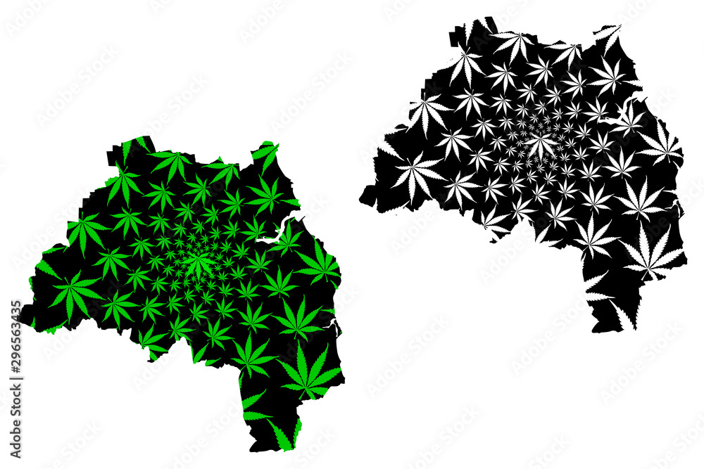 Naklejka premium Tyne and Wear (United Kingdom, England, Metropolitan county) map is designed cannabis leaf green and black, South Tyne and Wear map made of marijuana (marihuana,THC) foliage....
