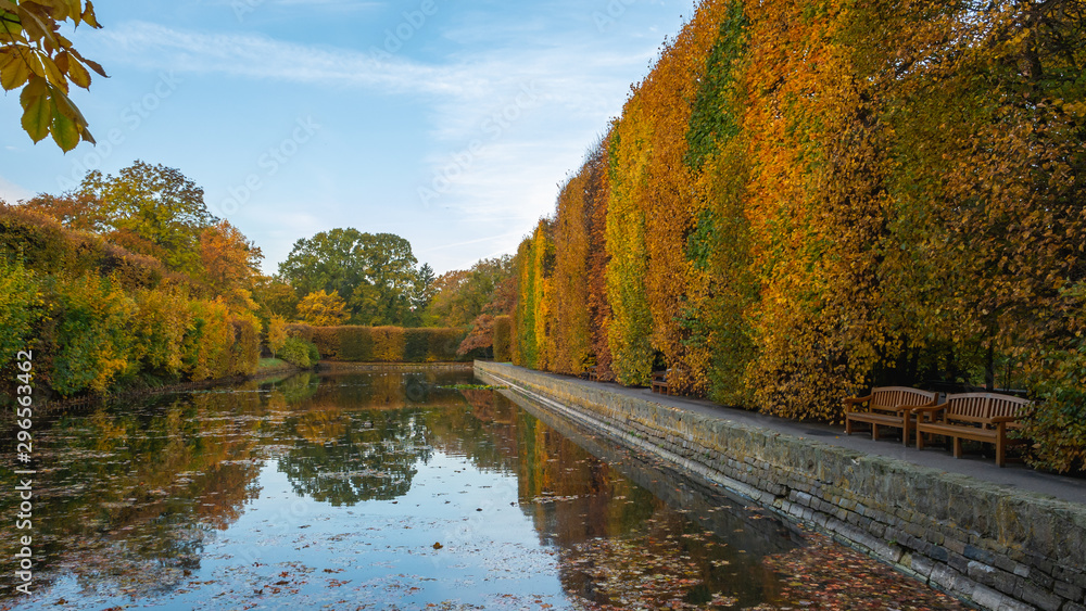 High hedge, clouds and its reflection in the pond at the Oliwa Park in the autumn scenery.