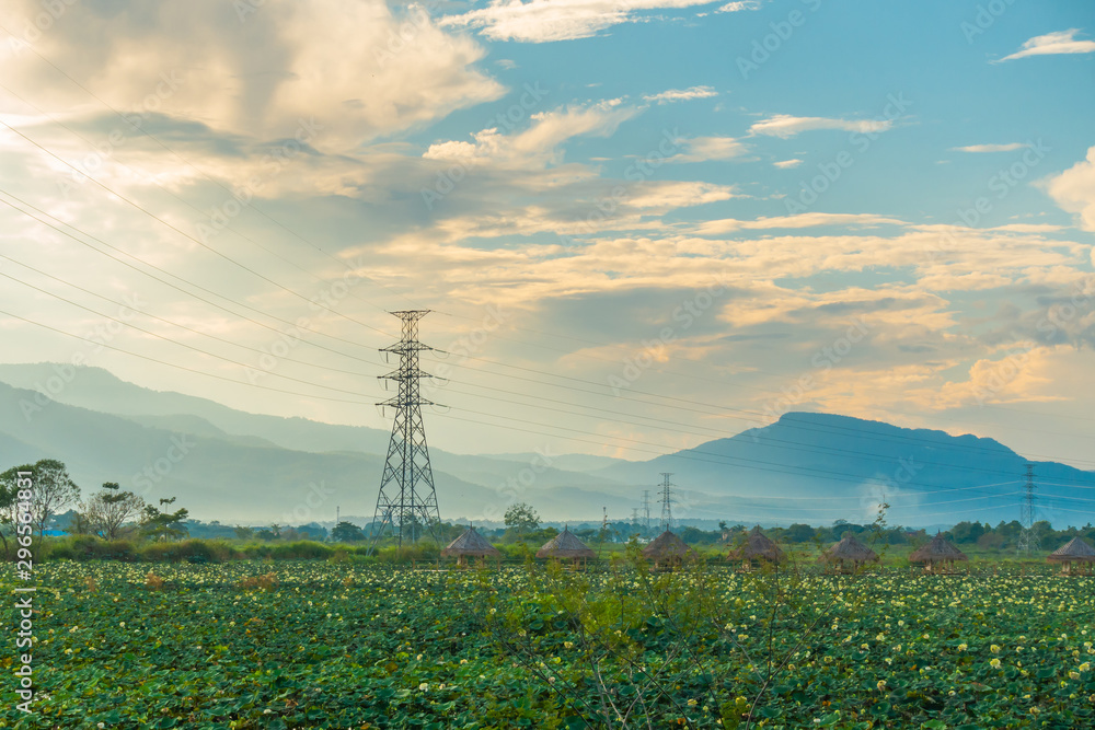 The high voltage pole and cable or wire constructed in the back of lotus pond with hay cottage with the mountain background and cloudy sky in the afternoon or early morning with the natural fog.