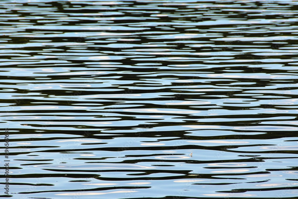water ripple on the lake water ripple on the lake