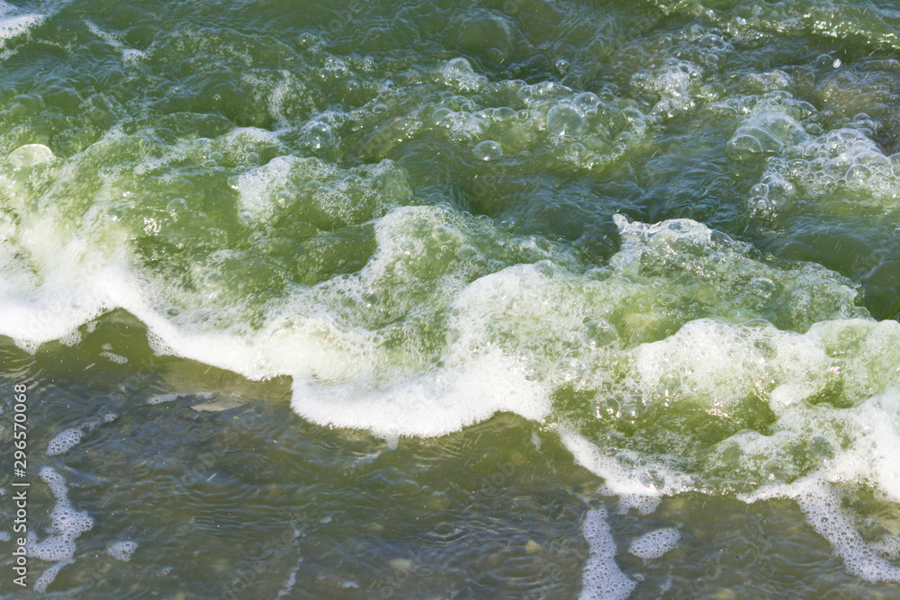 green water in the sea lagoon. the lagoon is a bay separated from the sea. the color of water is due to special microflora green water in the sea lagoon. the lagoon is a bay separated from the sea. the color of water is due to special microflora