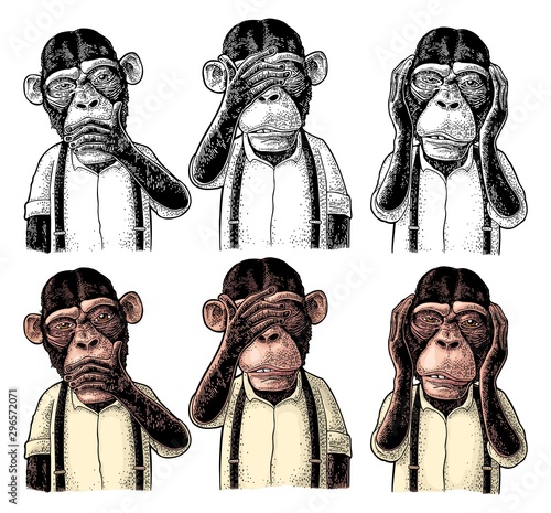 Three wise monkeys. Not see, not hear, not speak. Vintage engraving