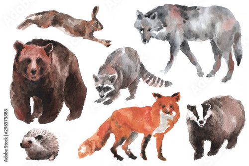 Hand drawn watercolor forest animals, isolated on white background © jelliclecat