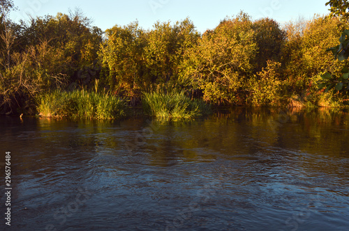 Wallpaper Mural Beautiful autumn forest landscape by the river. Torontodigital.ca