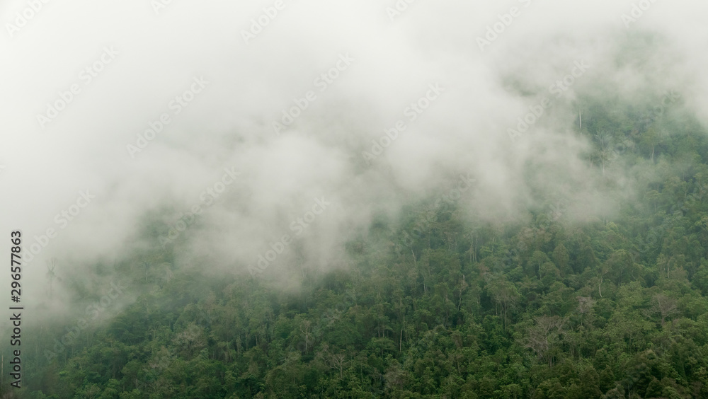 Landscape of a cloud forest on a mountain of the tropic, Colombia