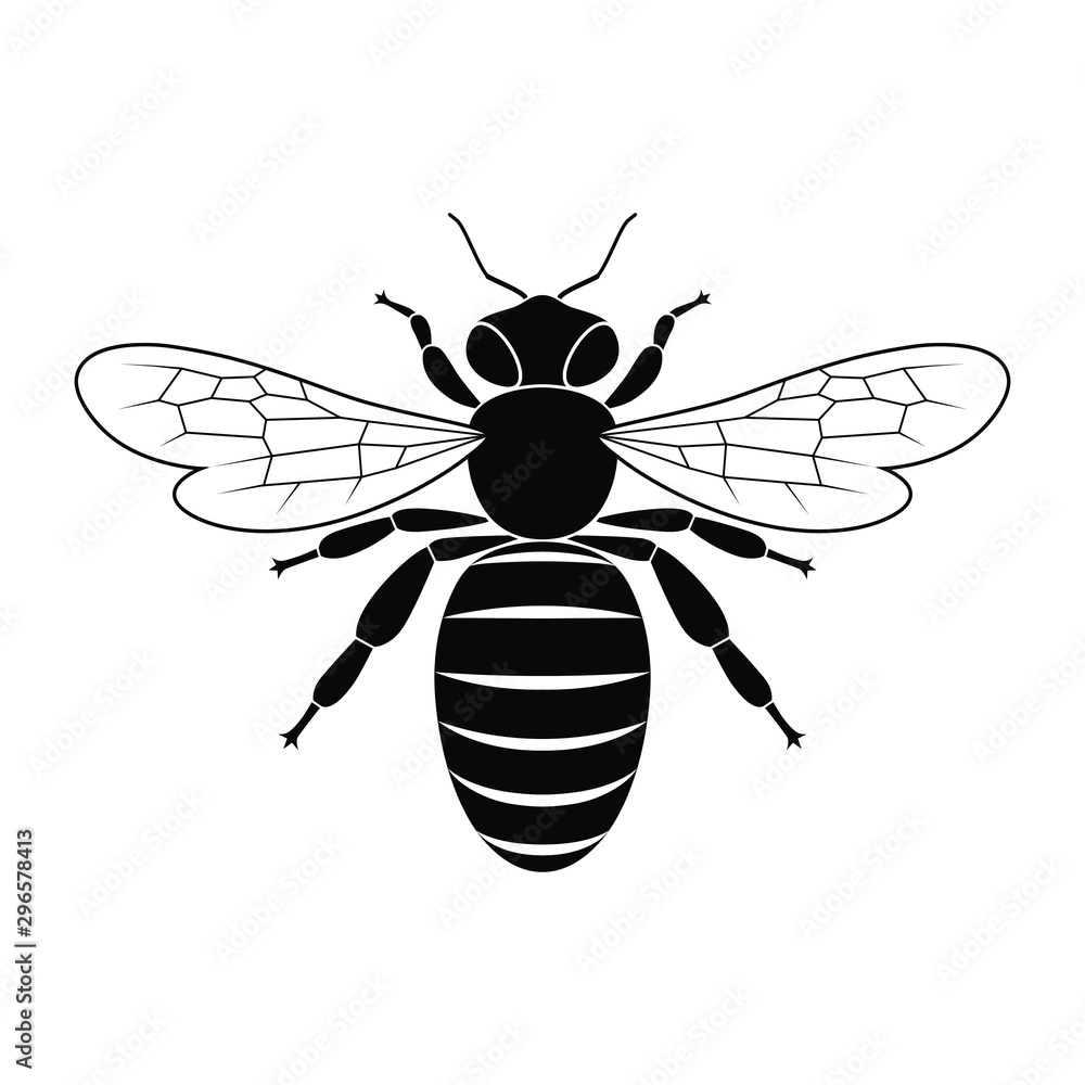 Obraz premium Bee graphic icon. Sign bee isolated on white background. Symbol of beekeeping. Vector illustration