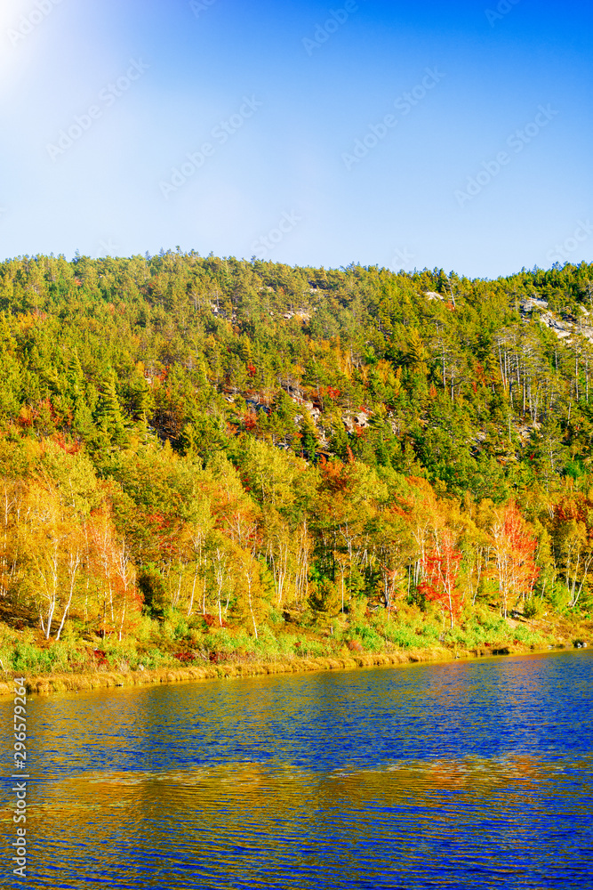 Panoramic aerial view of lake and trees in autumn foliage seaon against blue sky